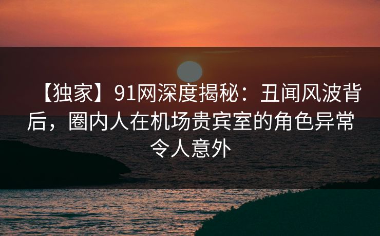 【独家】91网深度揭秘：丑闻风波背后，圈内人在机场贵宾室的角色异常令人意外