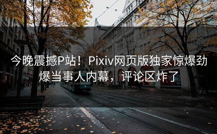 今晚震撼P站！Pixiv网页版独家惊爆劲爆当事人内幕，评论区炸了