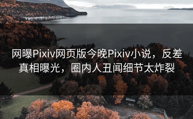 网曝Pixiv网页版今晚Pixiv小说，反差真相曝光，圈内人丑闻细节太炸裂