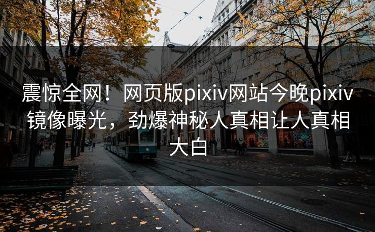 震惊全网！网页版pixiv网站今晚pixiv镜像曝光，劲爆神秘人真相让人真相大白