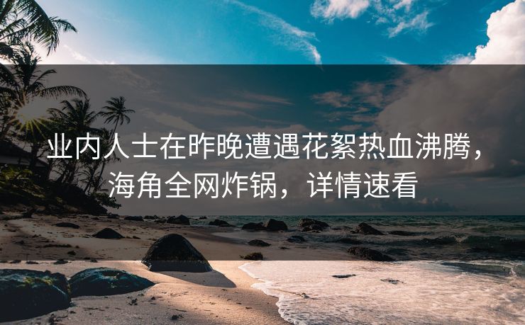 业内人士在昨晚遭遇花絮热血沸腾，海角全网炸锅，详情速看