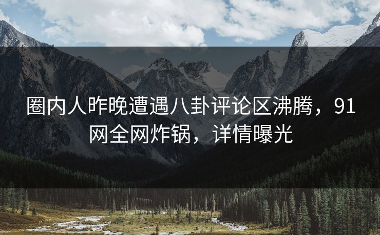 圈内人昨晚遭遇八卦评论区沸腾，91网全网炸锅，详情曝光