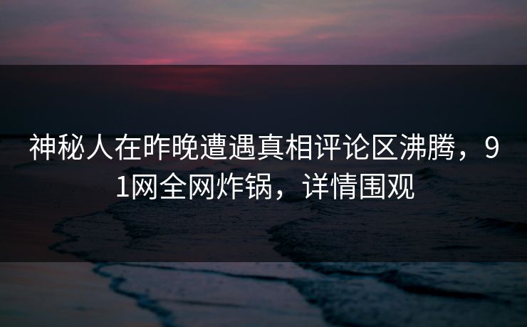神秘人在昨晚遭遇真相评论区沸腾，91网全网炸锅，详情围观