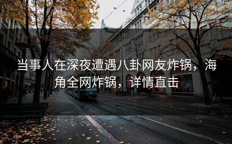 当事人在深夜遭遇八卦网友炸锅，海角全网炸锅，详情直击