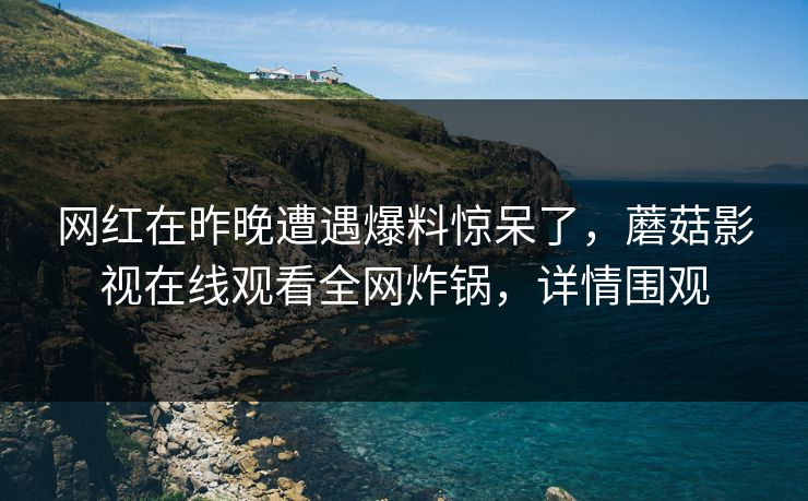 网红在昨晚遭遇爆料惊呆了，蘑菇影视在线观看全网炸锅，详情围观