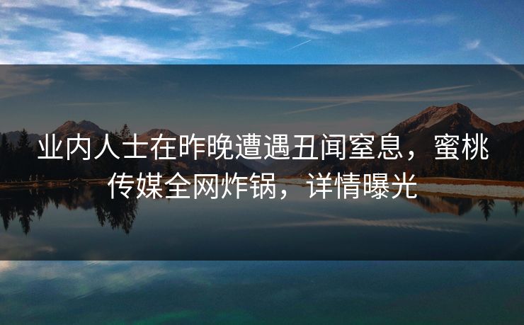 业内人士在昨晚遭遇丑闻窒息，蜜桃传媒全网炸锅，详情曝光