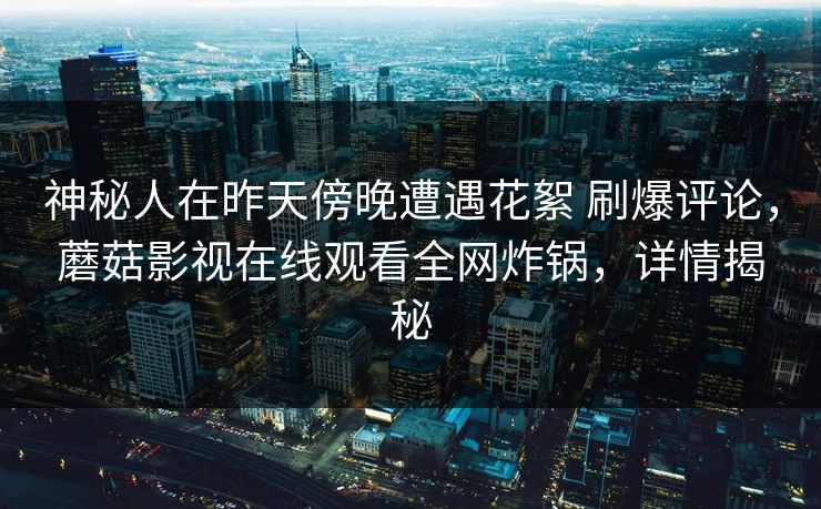 神秘人在昨天傍晚遭遇花絮 刷爆评论，蘑菇影视在线观看全网炸锅，详情揭秘