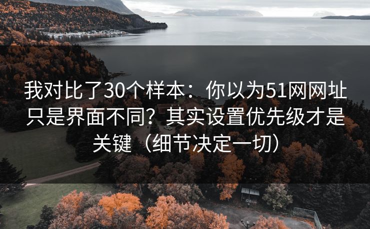 我对比了30个样本：你以为51网网址只是界面不同？其实设置优先级才是关键（细节决定一切）